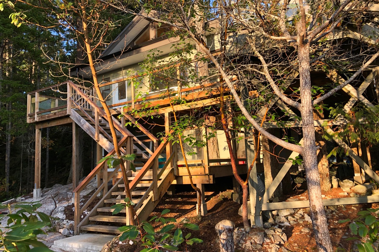 Tree House Cabin