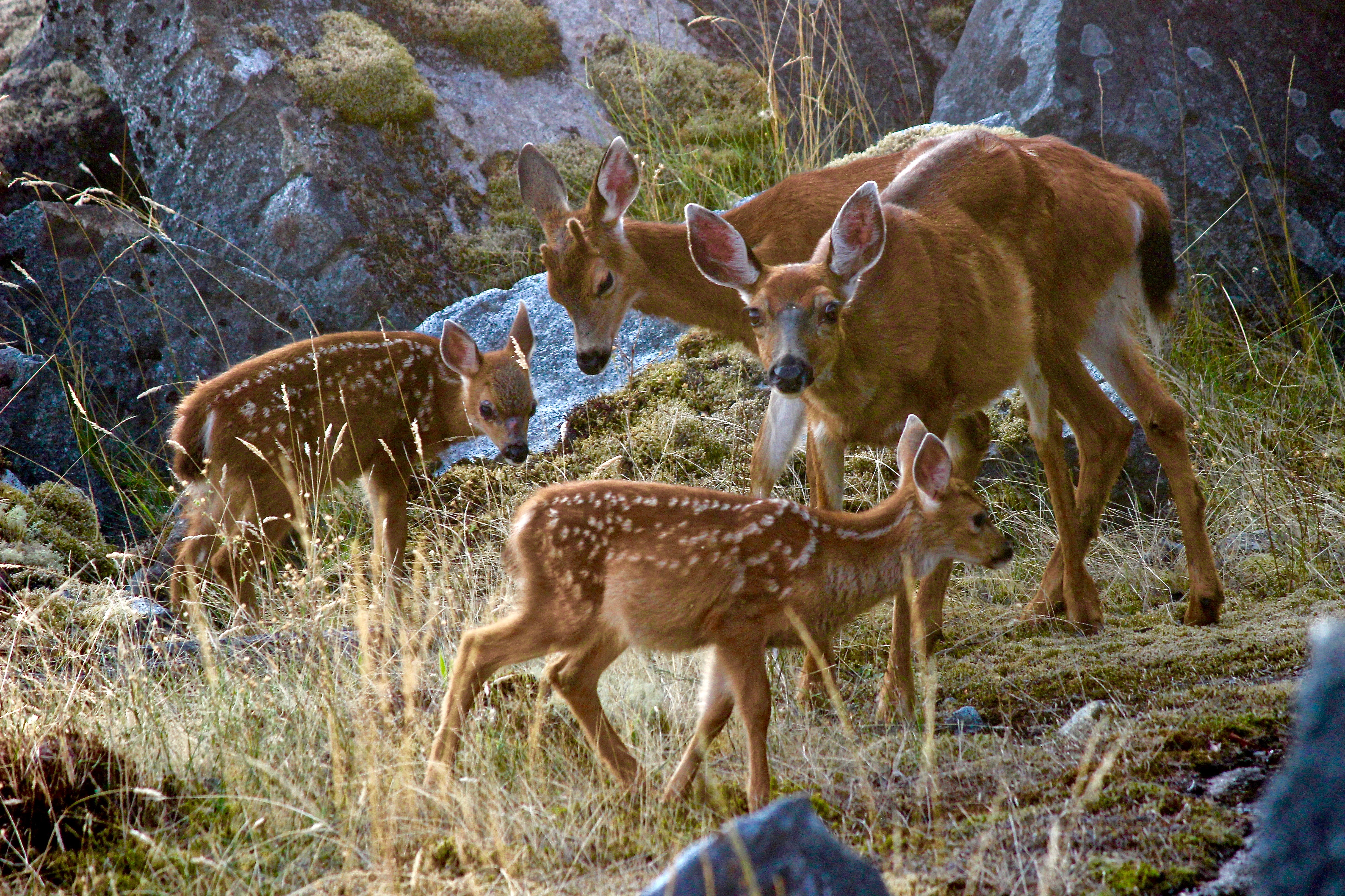 Family Gathering