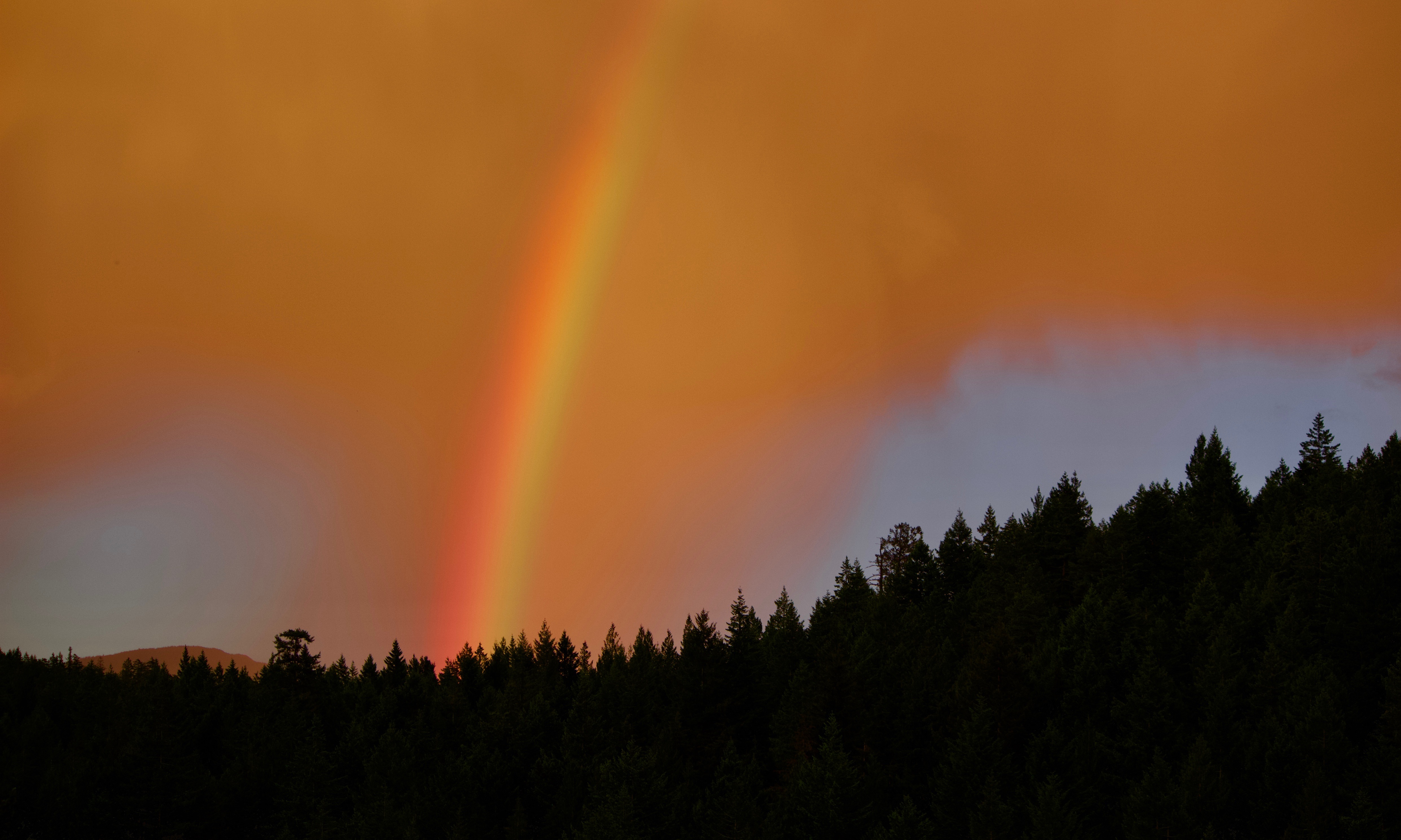 Rainbow Gold