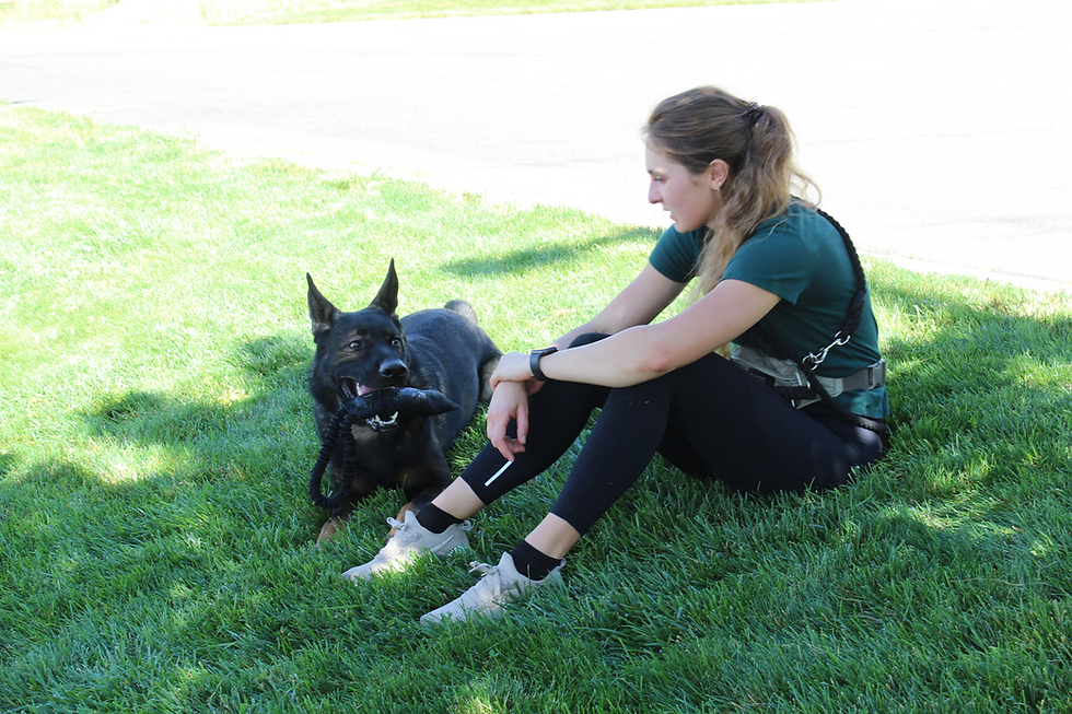 rails to Obedience partner Brittany and Kaiser demonstrating the Guide relationship.