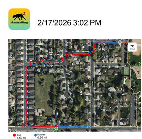 Satellite tracking map of a Mantrailing AAR in Centerville, UT. A red line tracks the dog's 0.59-mile path and a blue line tracks the runner's 0.60-mile path through a suburban neighborhood, demonstrating high-level scent discrimination and handler communication.