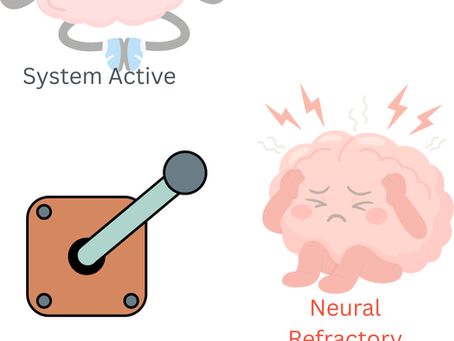 A neurological diagram illustrating the "Neural Refractory Period" in dogs. It compares a calm, meditating "System Active" brain to a stressed "Neural Refractory Lockout" brain. A physical lever indicates the point where the HPA axis is flooded with cortisol and adrenaline, making the brain physically incapable of processing new commands until it resets.