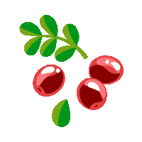 cranberry gif.gif