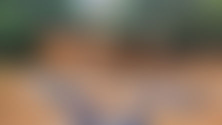 Placas solares e o poste solar