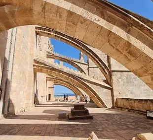 catedral-mallorca-visita-terrazas.webp