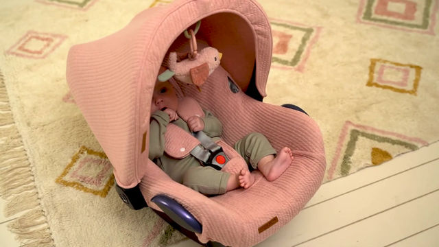 الصورة المصغرة: اسحب وهز العصفور Little dutch