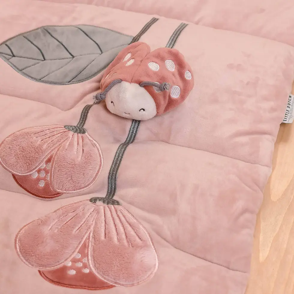 الصورة المصغرة: فرشة الأنشطة | الزهور والفراشات