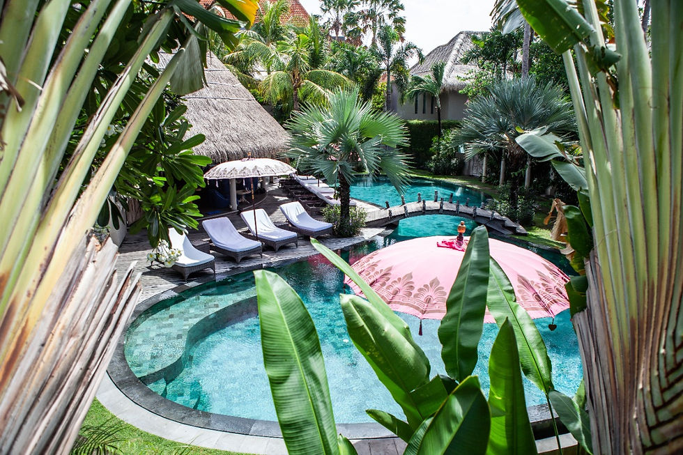 WhatsApp Image 2022-11-11 at 2.51.26 PM.jpeg