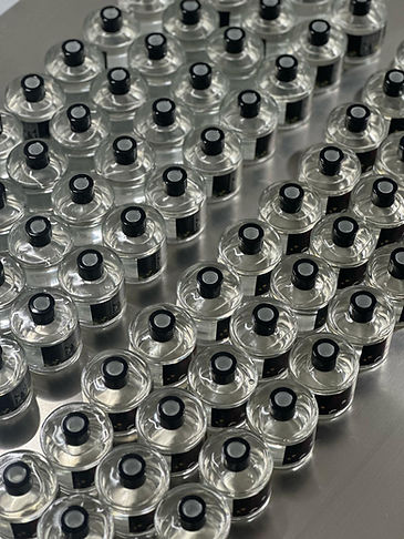 WhatsApp Image 2024-05-24 at 10.49.02 AM.jpeg