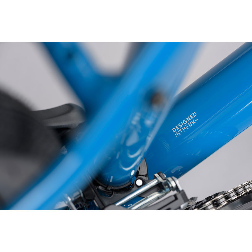 Thumbnail: Ridgeback Storm W