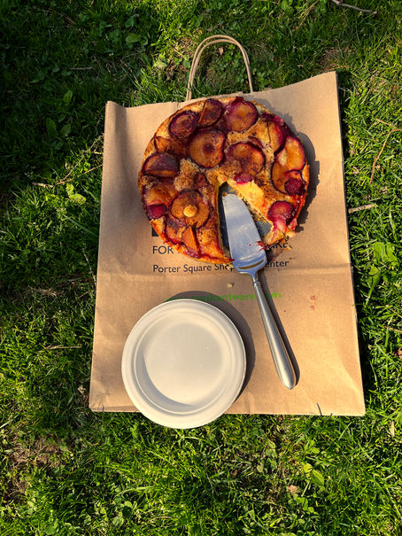 Rematch: Chasing My Mom's Plum Cake, or The Paradox Game