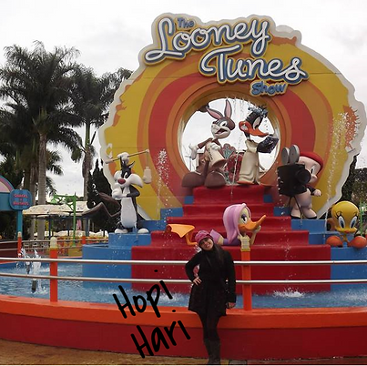Hopi Hari, Campinas, Vinhedo, São Paulo, Brasil, Viagem