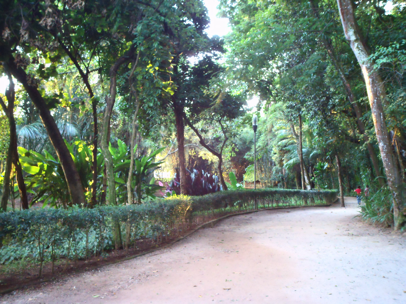 Parque Ferreira Lage