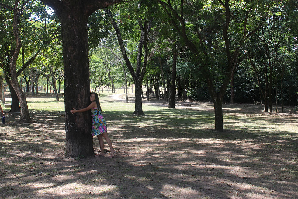 UFMG