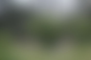 Pontos Turísticos de Juiz de Fora: UFJF