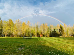Backyard View