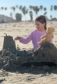 Ollies Little Adventure.jpg