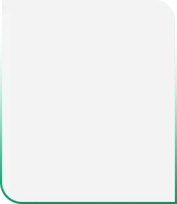 fundo base1.webp