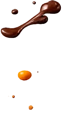 chocol.webp