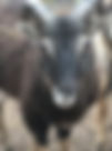 file1.jpeg