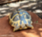 20230517_105359