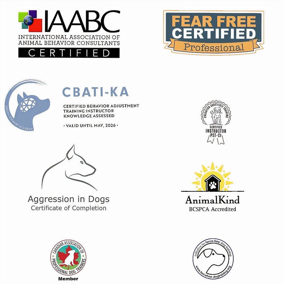 Professional dog trainer, behavior consultant logos