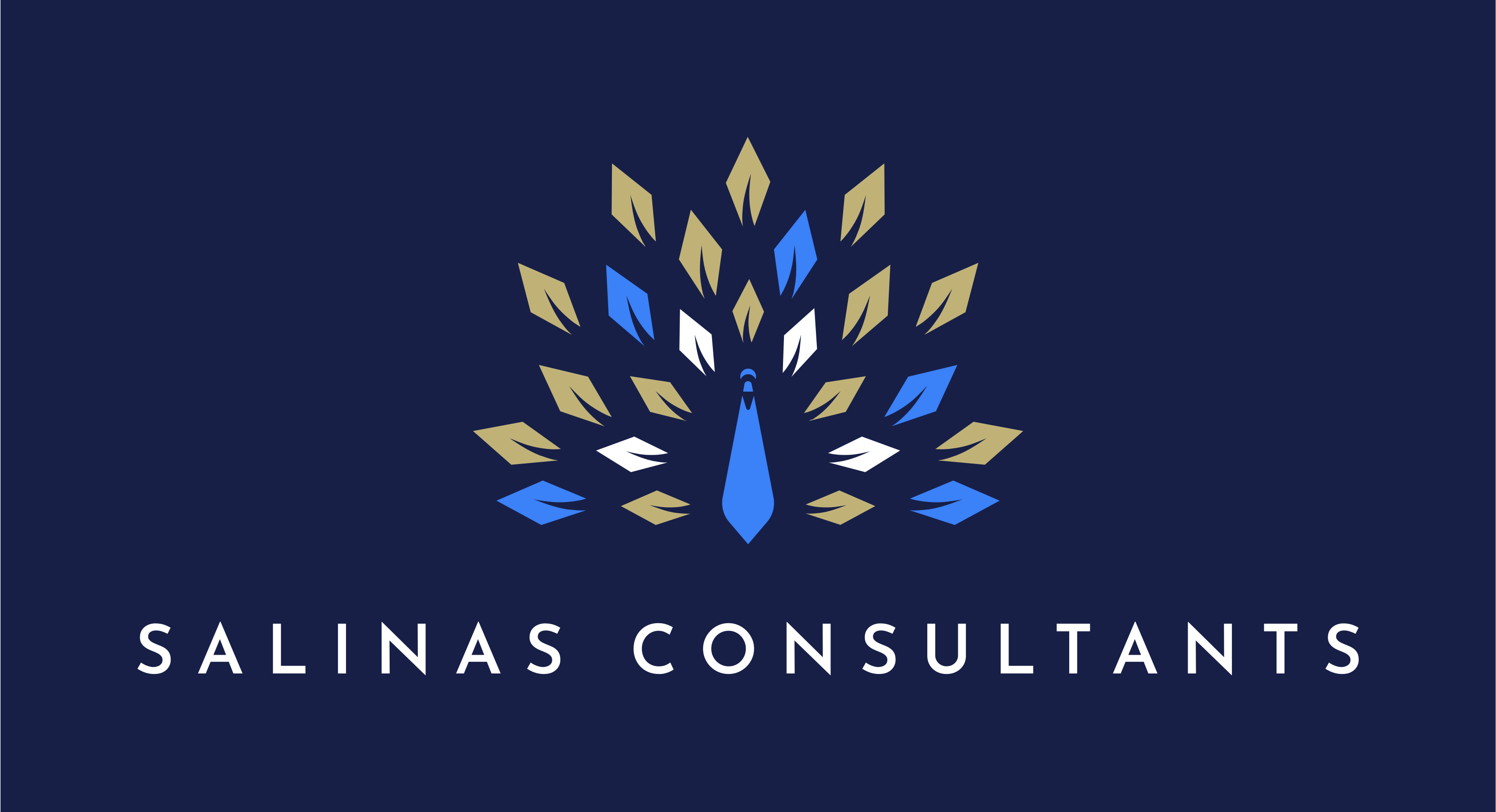 Salinas Consulting Original Logo.png