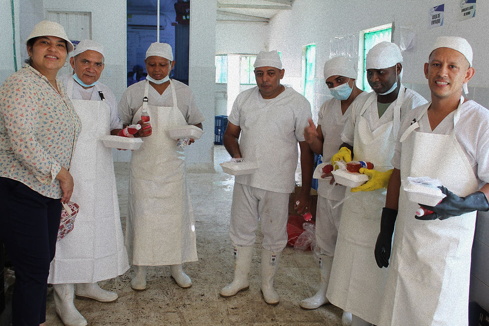 IMG_6737 (1) (1)_edited.jpg