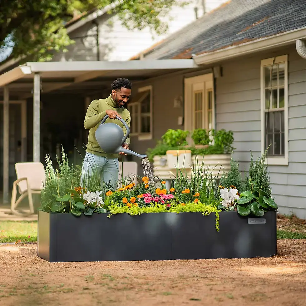 Thumbnail: Modern Planter