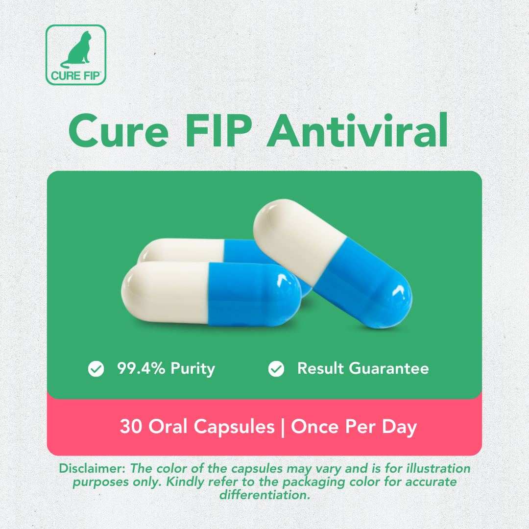 للقطط التي يقل وزنها عن 2.5 كجم، عبوة علاج لمدة 30 يومًا