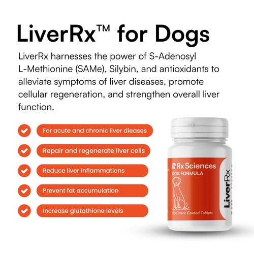 what are liver glutathione levels dogs Antioxidants in Disease: A Focus on Thiol Supplementation - WSAVA2006 Read about Clinical Pathology in