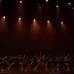 D-gala_2018-1629.jpg