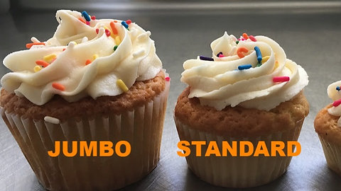 Jumbo Cupcakes By The Dozen Cupcake