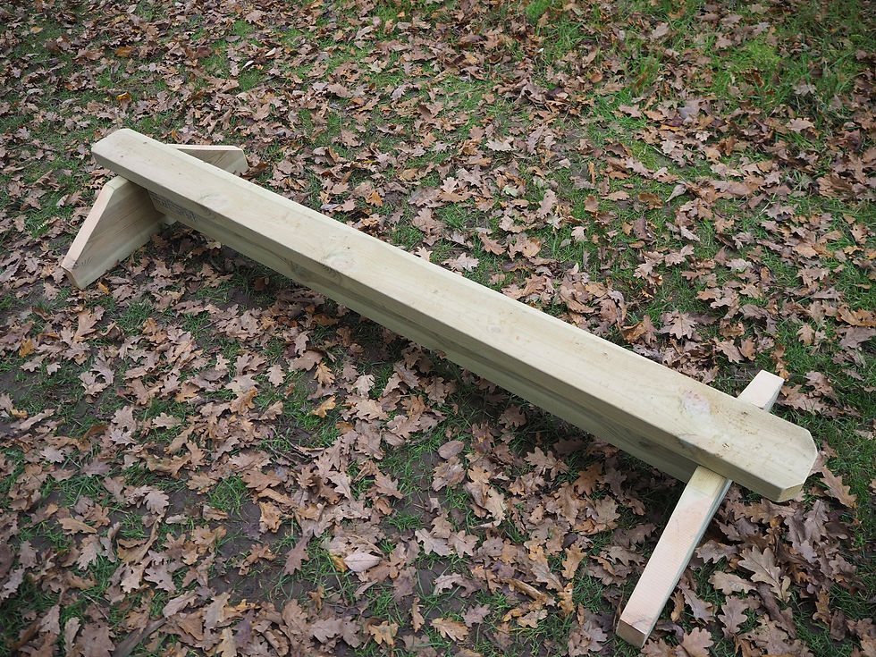 Thumbnail: Balance Beam - Product202