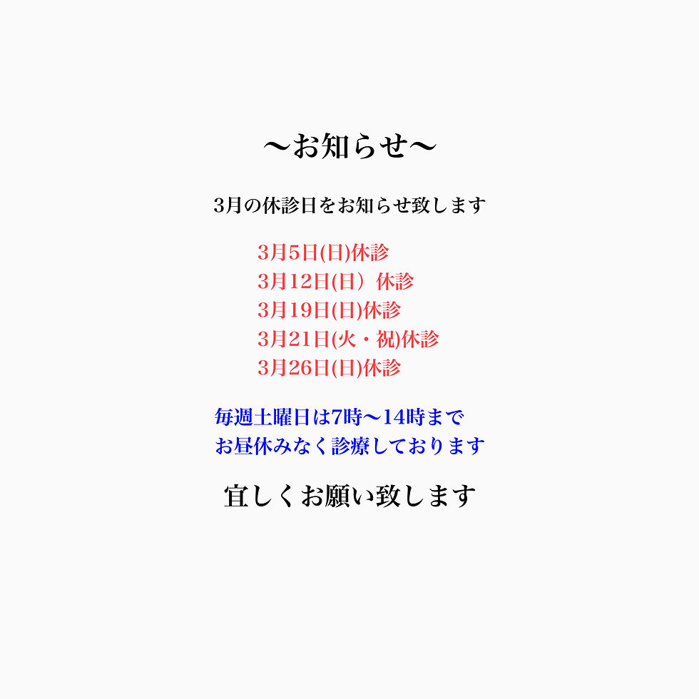 　　　　　3月の診療案内