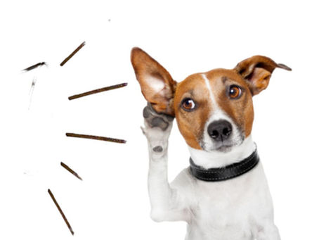 The Silent Sales Tactic: Why Listening More Closes More