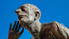 Beyond the Echo: The Power of Listening to Understand (Not Just to Reply)