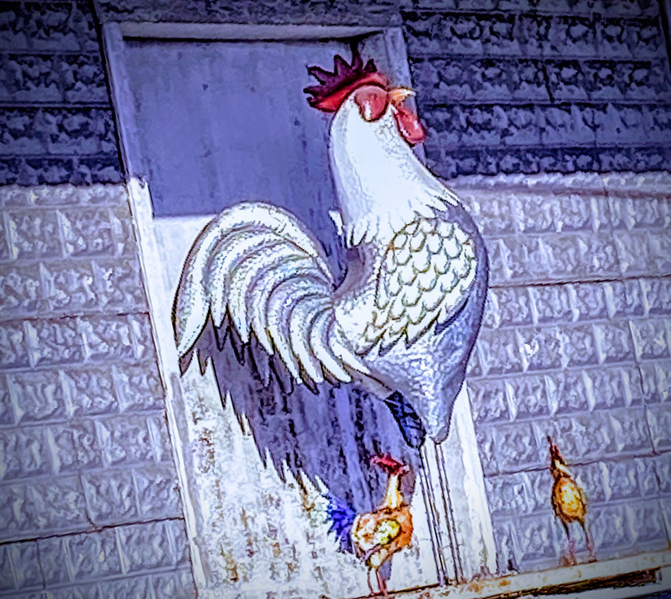 Something to see in New Market.