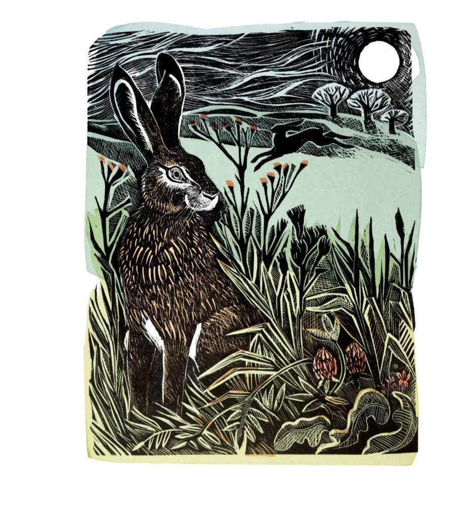Hidden Hares by Angela Harding (from her website)