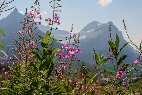 IMG_2623_Original