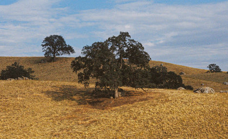 grac053-058_Original-2