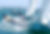 Boating and Fishing in Naples