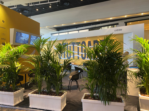 Séparation végétale Kentia - MIPIM Cannes 2022