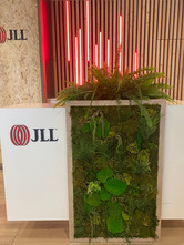 JLL desk eco responsable - MIPIM Cannes 2022