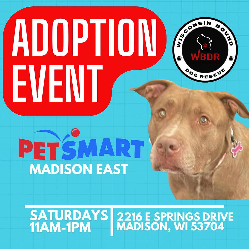 Madison East PetSmart
