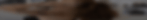 website banner test.gif
