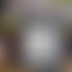 Viollet le Duc, tome 1 Les bâtisseurs