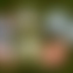 Thème Juin 2022 : Guerres