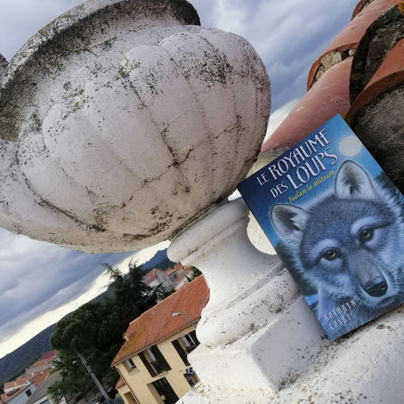 Le royaume des loups - tome 1 Faolan le solitaire