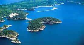 C21_Seal_RelentlessGold_4C (3)_edited_ed